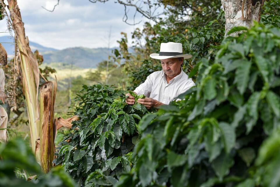 Colombia - Alliance Bioversity International - CIAT