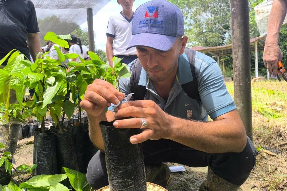 Comit&eacute; de la Cadena del Cacao del Caquet&aacute; - Una historia de crecimiento e incidencia tejida durante nueve a&ntilde;os en los bosques de la Amazon&iacute;a colombiana