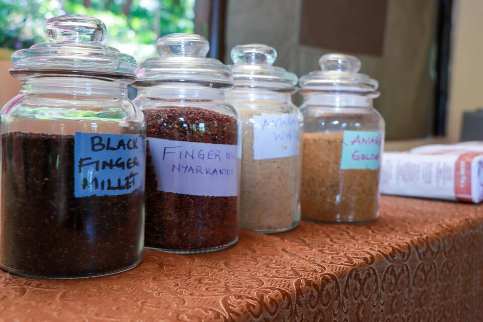 Connecting the dots - Turning evidence into action for finger millet and amaranth