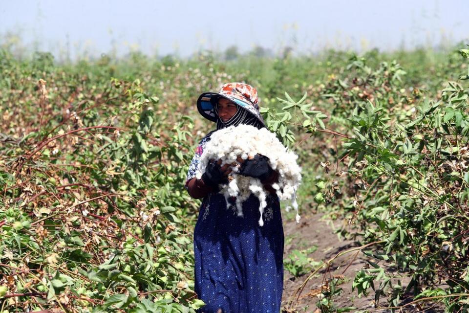 Consultation Workshop for AgriTech4Egypt: Presenting a Strategic Egypt&ndash;Italy Initiative Connecting Research, Entrepreneurship, and Industry 