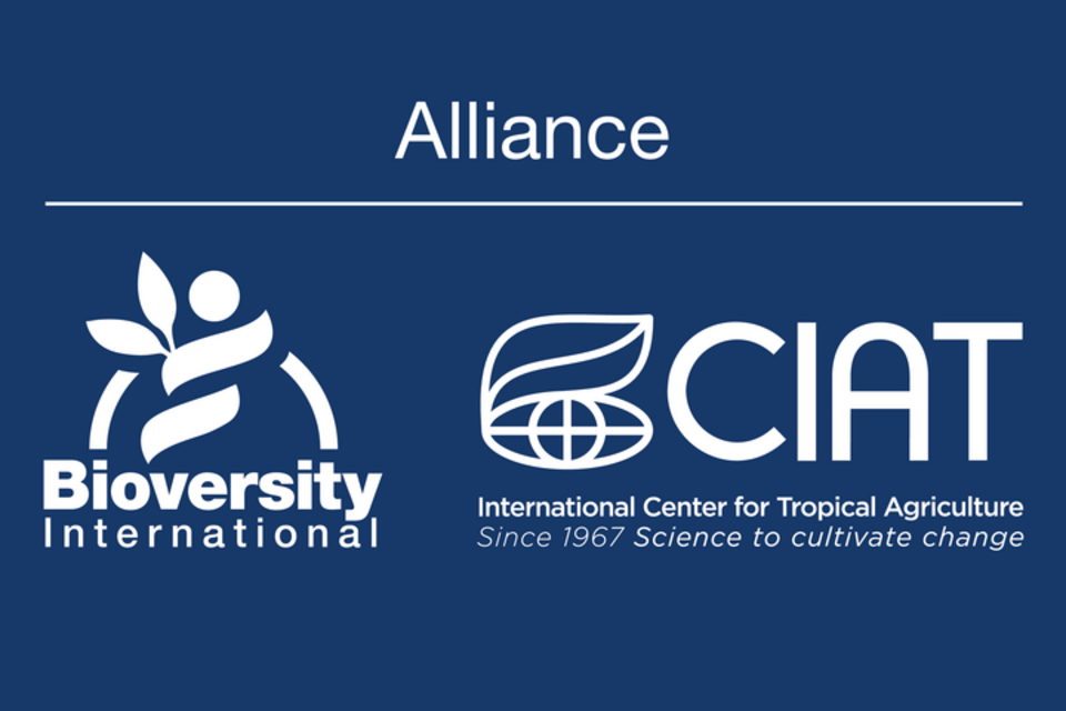 Bioversity International and CIAT sign Memorandum of Understanding that establishes the Alliance foundations