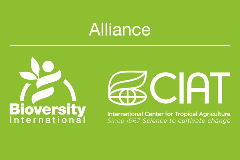 Bioversity International and CIAT advance in building an Alliance