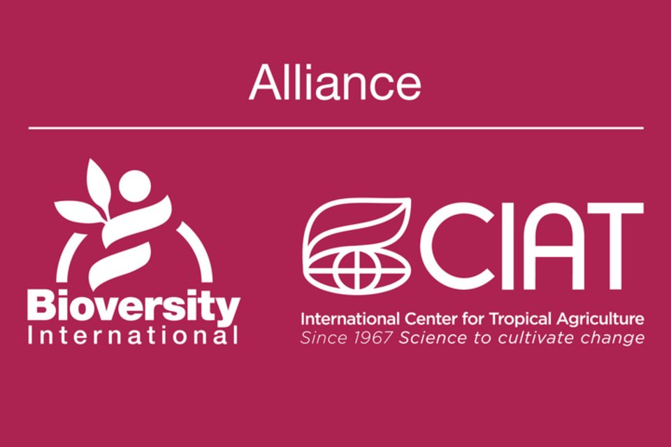 Bioversity International and CIAT to establish an Alliance