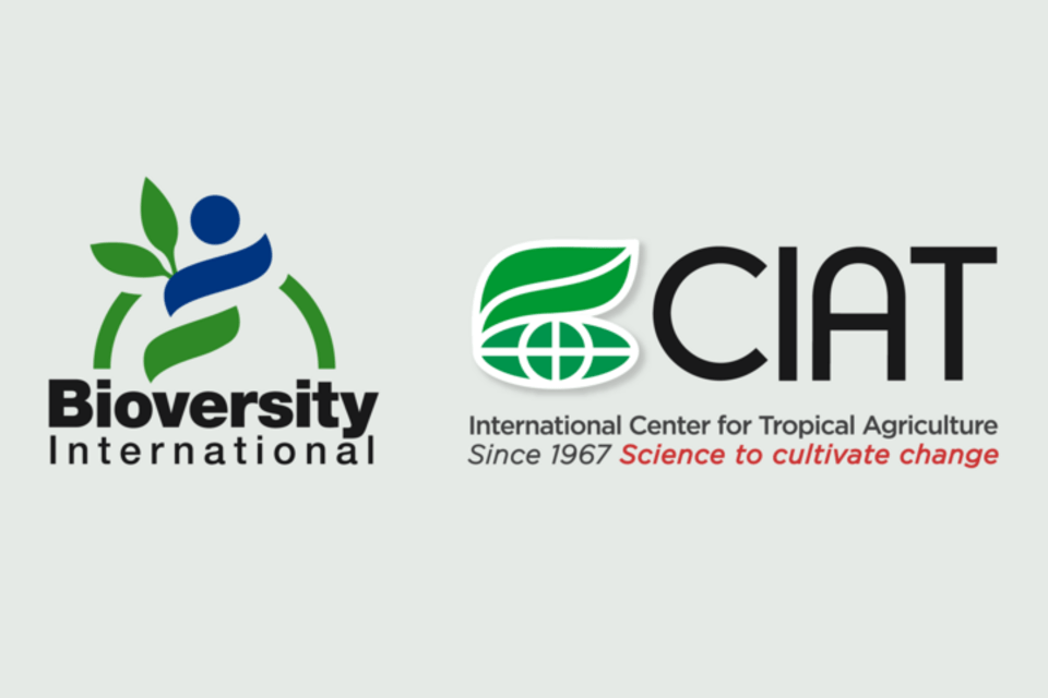 Bioversity International and CIAT explore opportunities to tackle food system challenges together