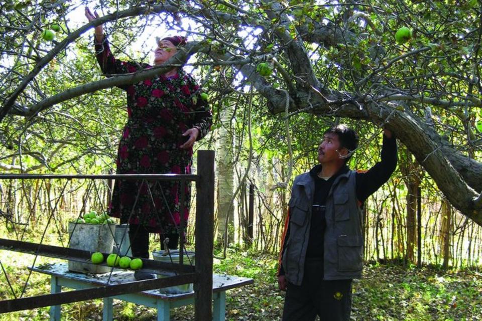Promoting fruit tree diversity in Central Asia