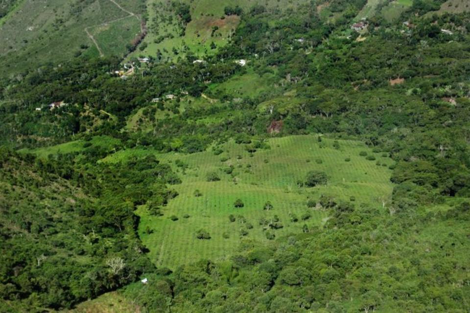 A tool to guide species and seed selection for the restoration of seasonally dry tropical forest in Colombia