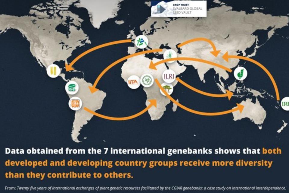 Twenty five years of international exchanges of plant genetic resources