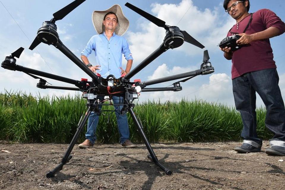 AI goes underground: root crop growth predicted with drone imagery