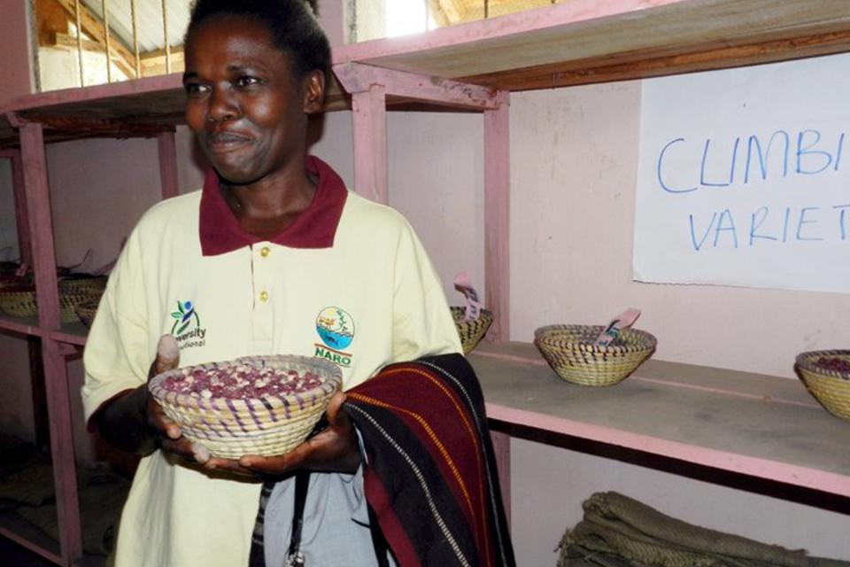 Women of the Kizibi community seedbank