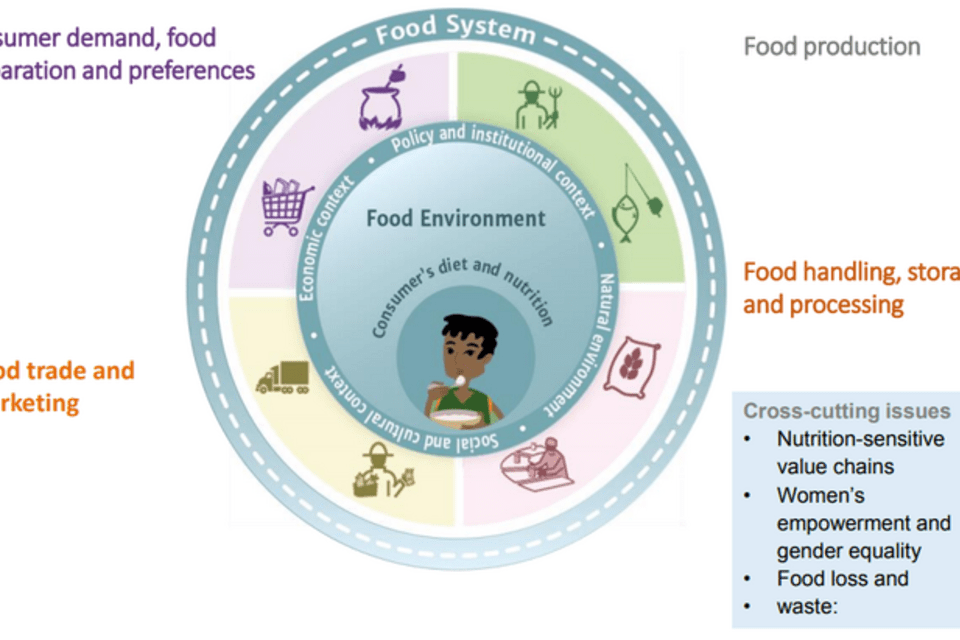 The International Union of Nutritional Sciences turns to food systems