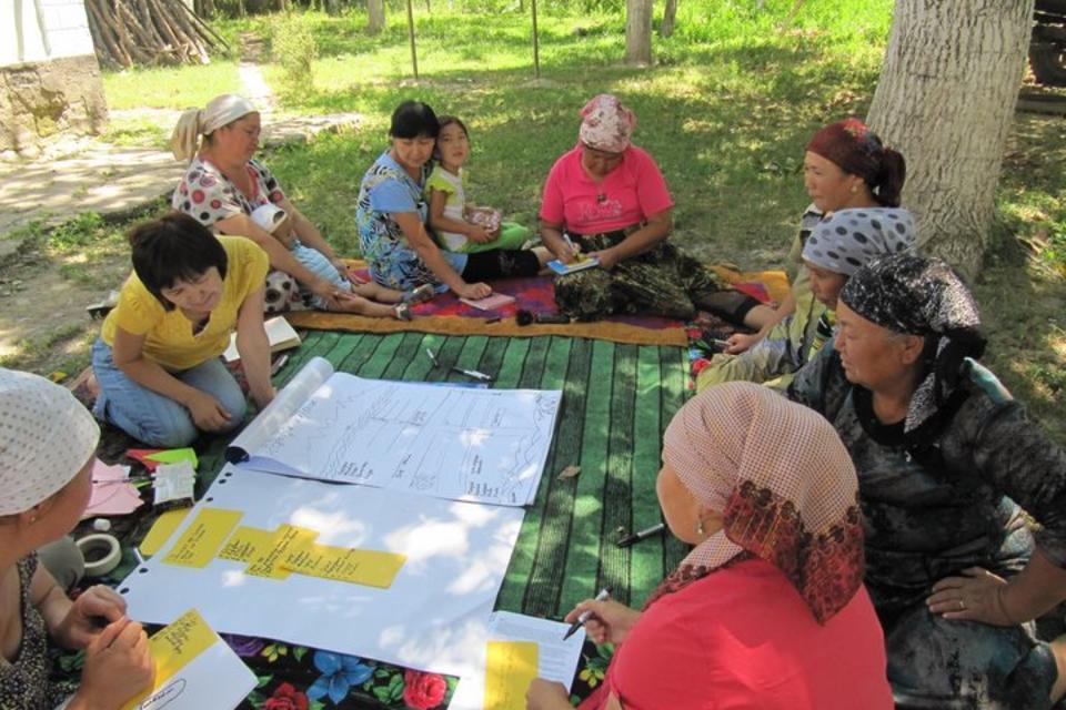 How gender-specific knowledge is inspiring change in Kyrgyzstan’s walnut forests