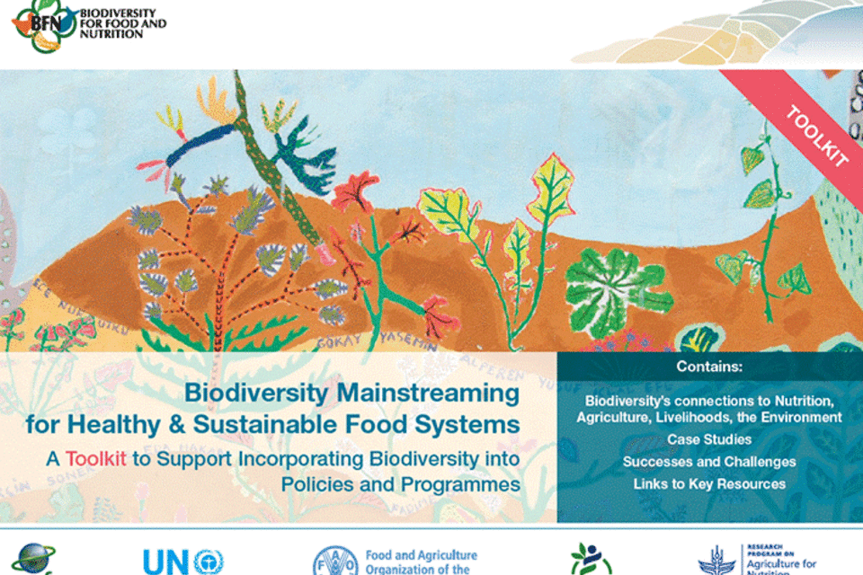 Toolkit Launch: Mainstreaming Biodiversity for Food and Nutrition