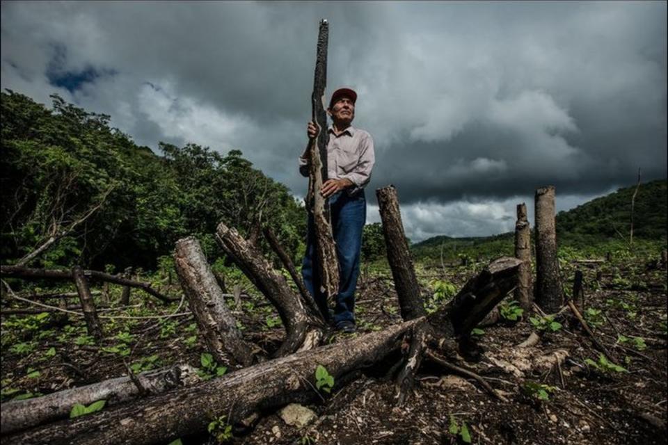 Handing communities the management of a Guatemalan forest