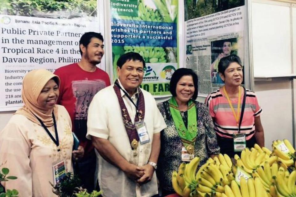 Tackling banana disease in the Philippines