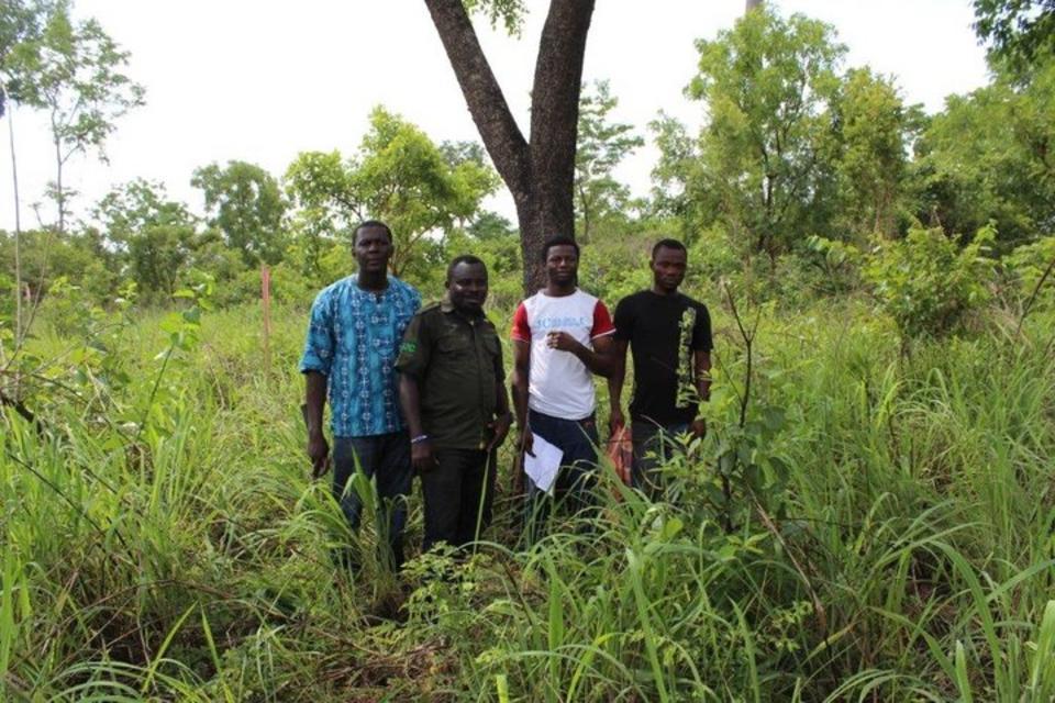Abdou-Salam Ouédraogo Fellow to map African rosewood genetic diversity in Ghana