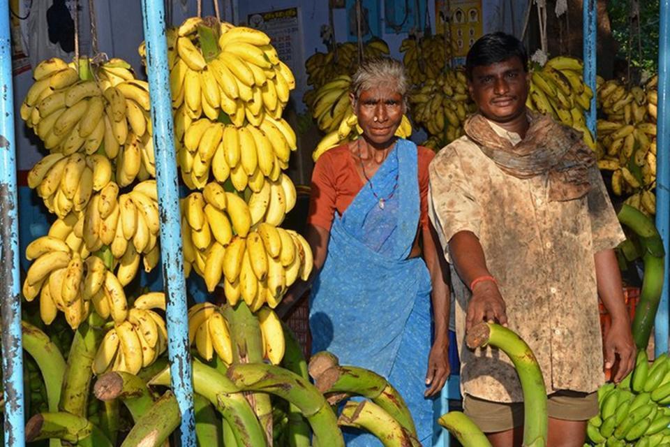 How COVID-19 is impacting banana-producing countries
