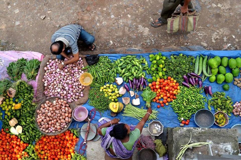 Dietary diversity and biofortification – Closer than you think