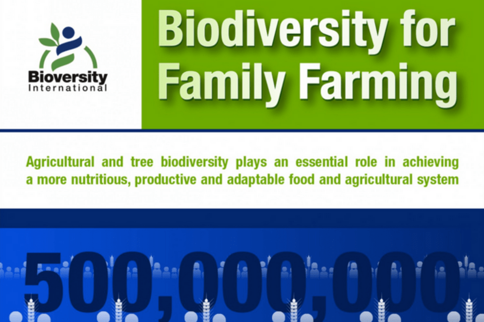New infographic - Agricultural biodiversity is key for a resilient family farm