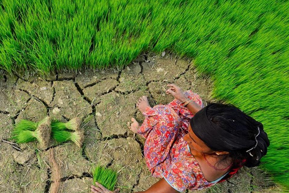 Earth Day 2020: Climate Action for resilient food systems 