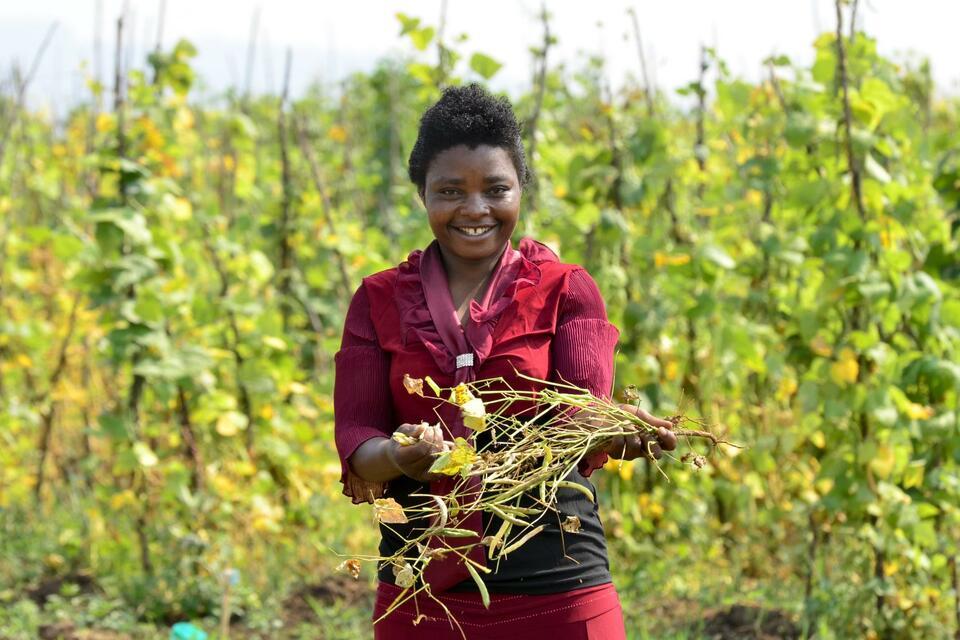 Democratic Republic of the Congo - Alliance of Bioversity International and CIAT