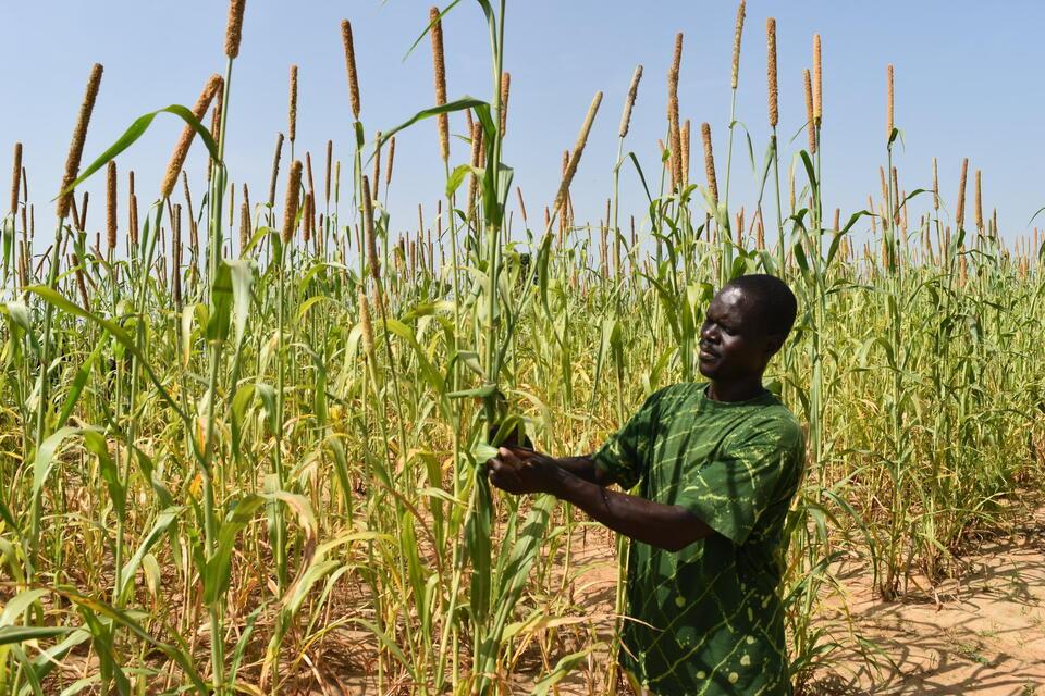 Embedded science - Bringing climate and conflict research into humanitarian planning through the CGIAR Surge Capacity Mechanism