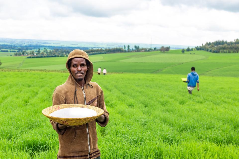 Empowering Smallholder Farmers - The Benefits of Bundling Agricultural Recommendations with Insurance - Credit and Climate Advisory Services - Alliance Bioversity International - CIAT