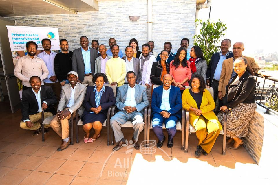 Enabling agroecological transitions in Ethiopia: The role of incentives, business models and partnership - A blog post of the PSii kick-off workshop - Alliance Bioversity International - CIAT