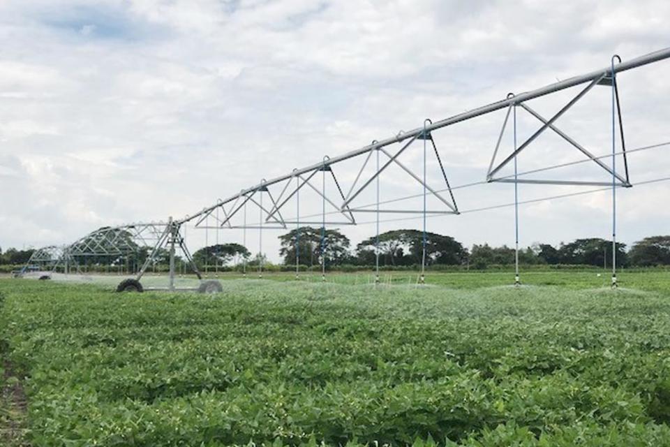 Operaciones de campo, aliado clave para los cultivos del CIAT