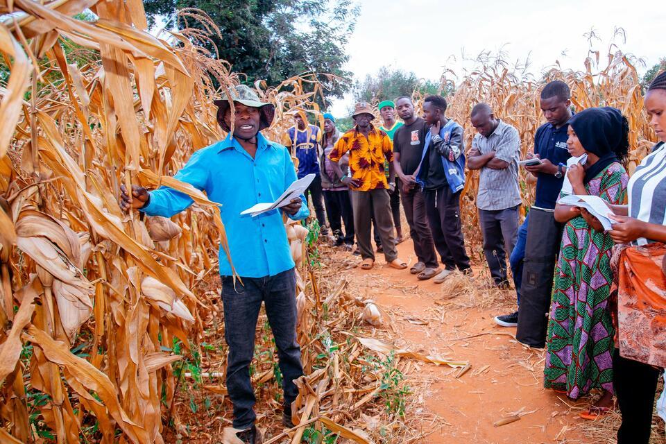 From demonstration to transformation -How partnerships and practice are reshaping farming in Kongwa district, Tanzania - Alliance Bioversity International - CIAT