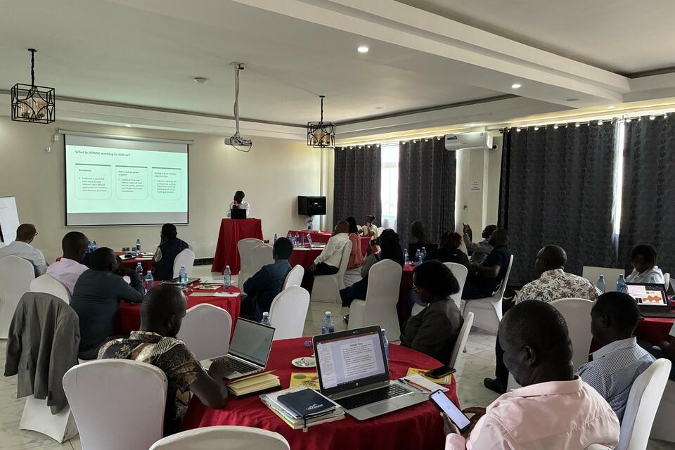 From evidence to county action -  Making agricultural research work for counties  - Alliance Bioversity International and CIAT