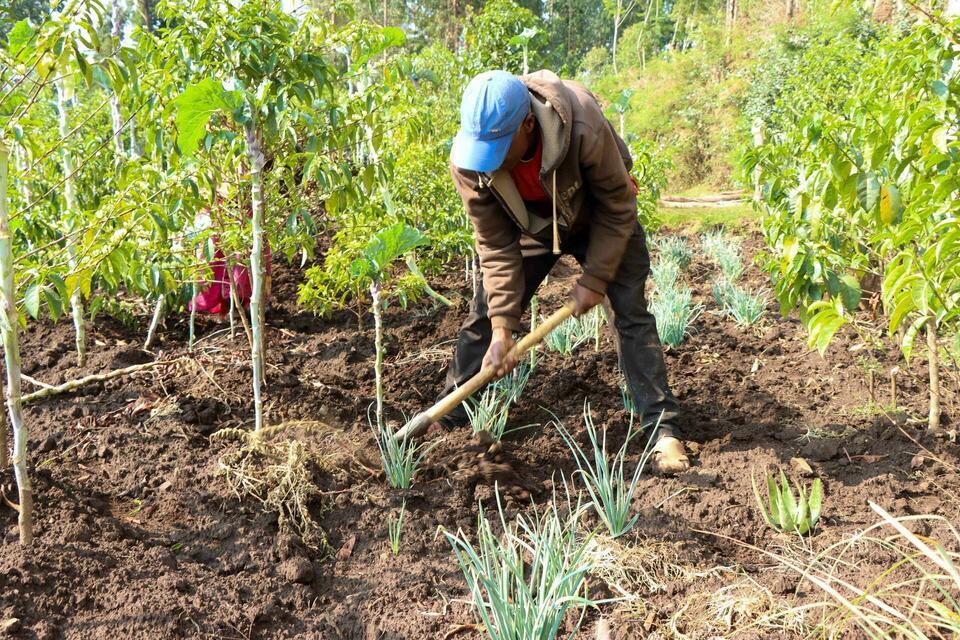 From local roots to a global story Agrobiodiversity photo contest draws stories from more than 30 countries