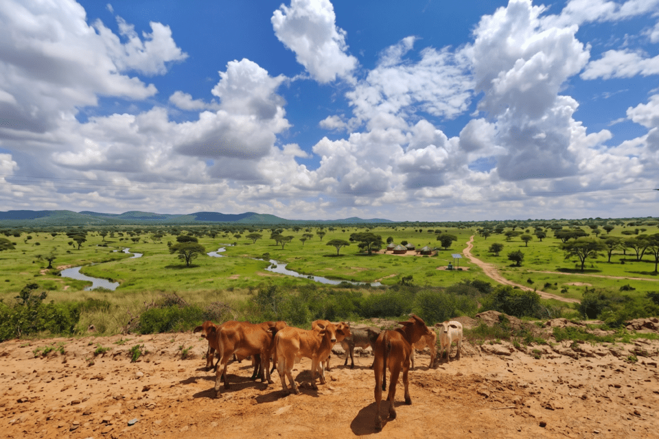 From memory to map - How communities in Monze in Zambia are turning generations of grazing knowledge into digital maps for a climate-resilient future