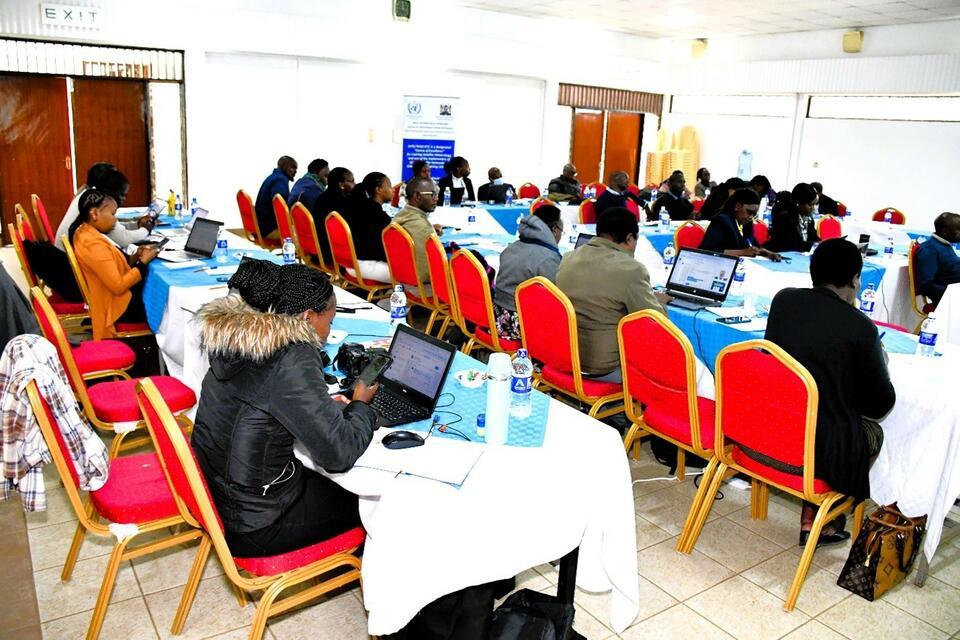 From project support to institutional ownership of climate services