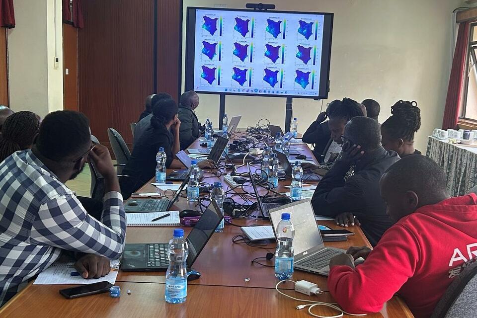 From scattered agronomic data to smarter fertilizer management decisions - A new chapter for maize productivity in Kenya - Image 1
