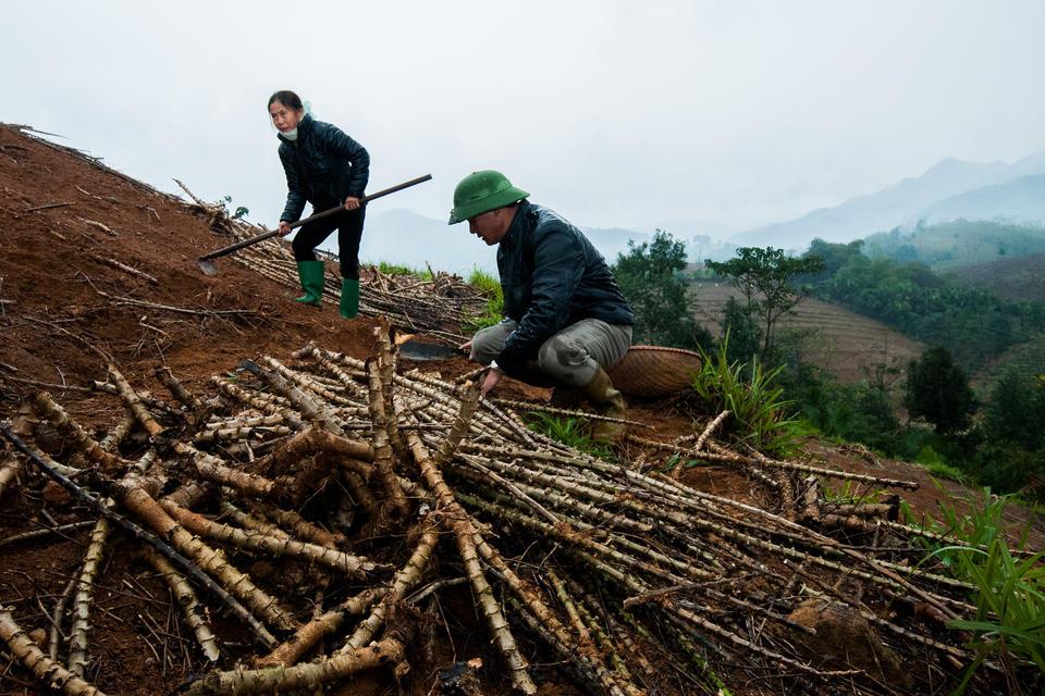 Gender in Climate Action - Alliance Bioversity International - CIAT