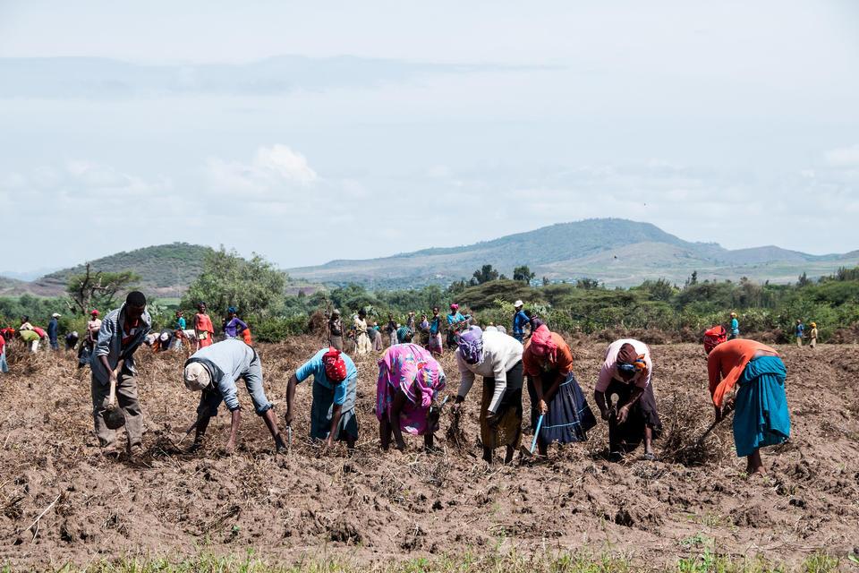 Gender in Restoration, On-farm Crop Management and Agroecology - Alliance Bioversity International - CIAT