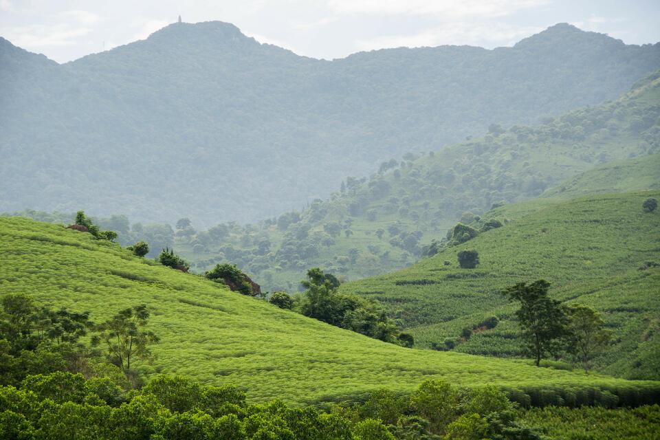 Geospatial Methodology for Identifying and Prioritizing Nature-Based Solutions - Alliance of Bioversity International and CIAT