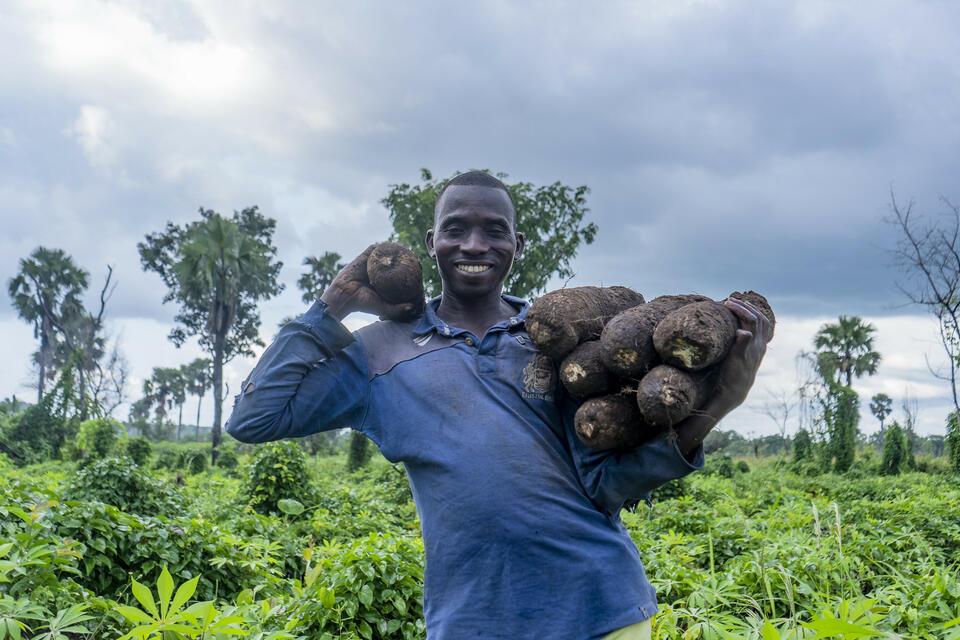 Ghana - Alliance Bioversity International and CIAT