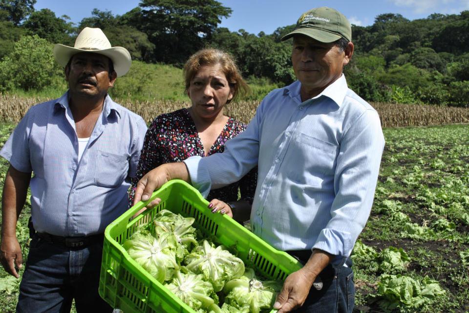 Promoting business models that benefit women and men farmers: CIAT pilots LINK methodology with gender lens