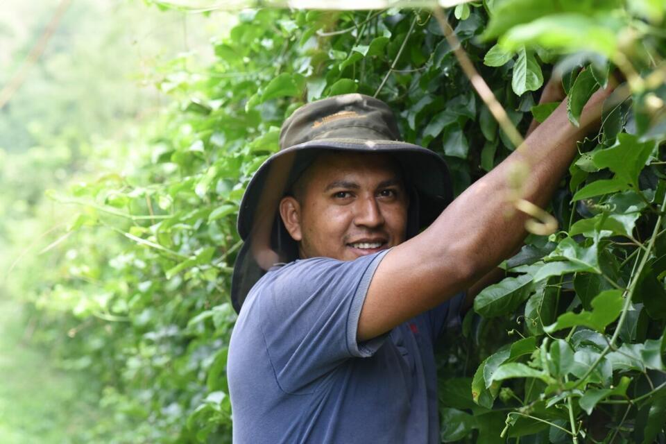 Honduras - Alliance Bioversity International - CIAT