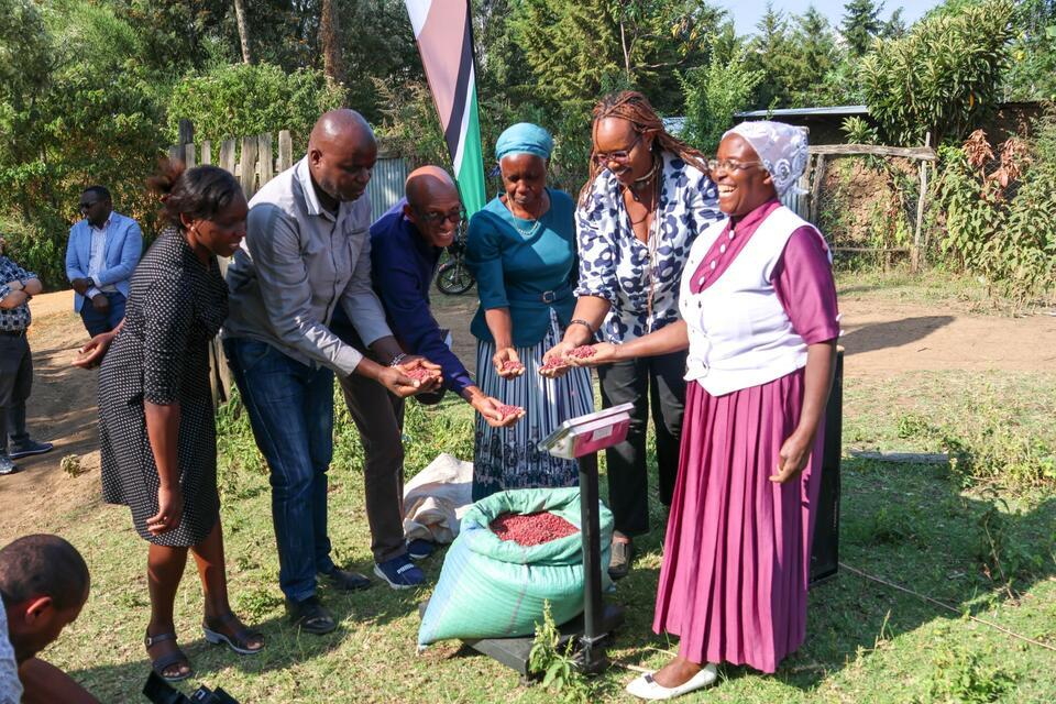 How a bean farmer becomes bankable Connecting demand, markets and investment
