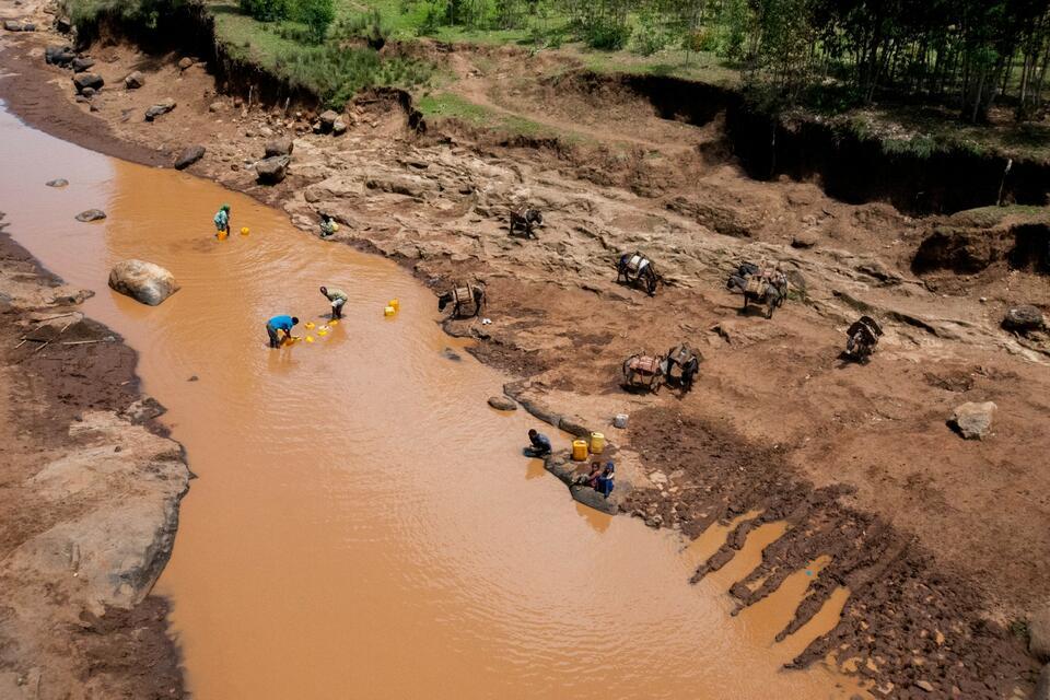 How can countries prevent shocks and disasters from turning into food crises - Science points to Resilience