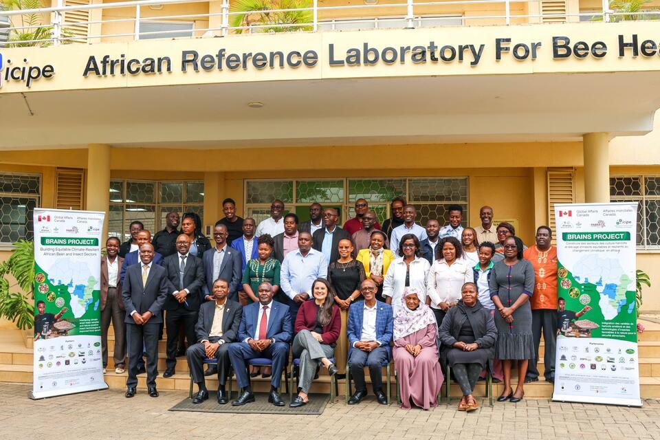 How partnerships are scaling agricultural innovation across Africa