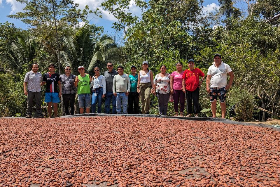How to integrate Agroecological Principles into Peru's Cocoa Business Model for Sustainable and Resilient Agriculture - Alliance Bioversity International - CIAT