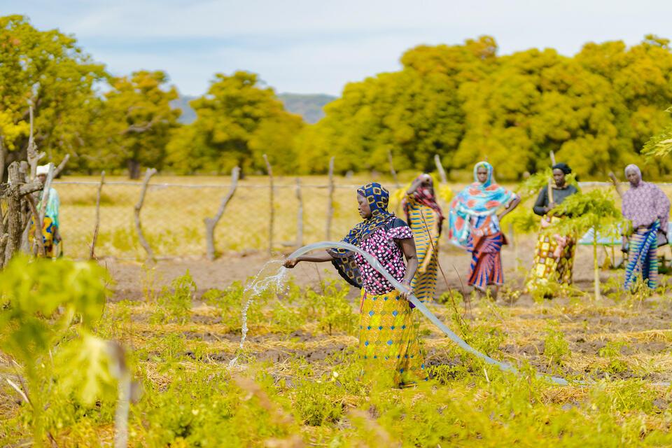 If the science existed, why did it take so long to reach farmers - Image 2