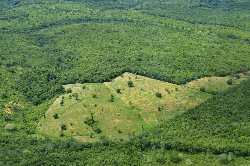 CIAT leads €5.2 million project for forest conservation, climate protection and peace in Colombia