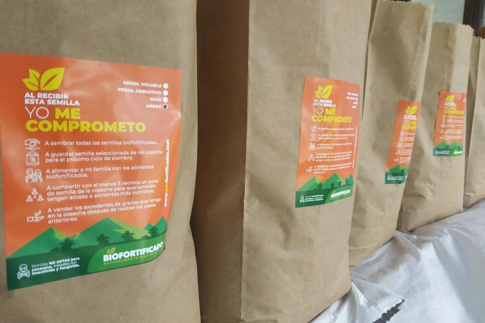 In three months, Colombian farmers will produce over 500 tons of biofortified foods - Alliance Bioversity International - CIAT