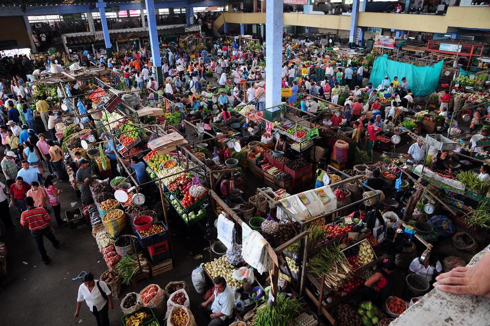 Inclusive Market Systems and Entrepreneurship - Alliance Bioversity International - CIAT