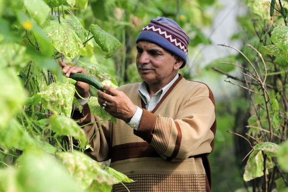 India - Alliance of Bioversity International and CIAT