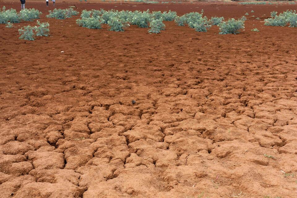 La Niña: What it is, causes, effects & how it differs from El Niño